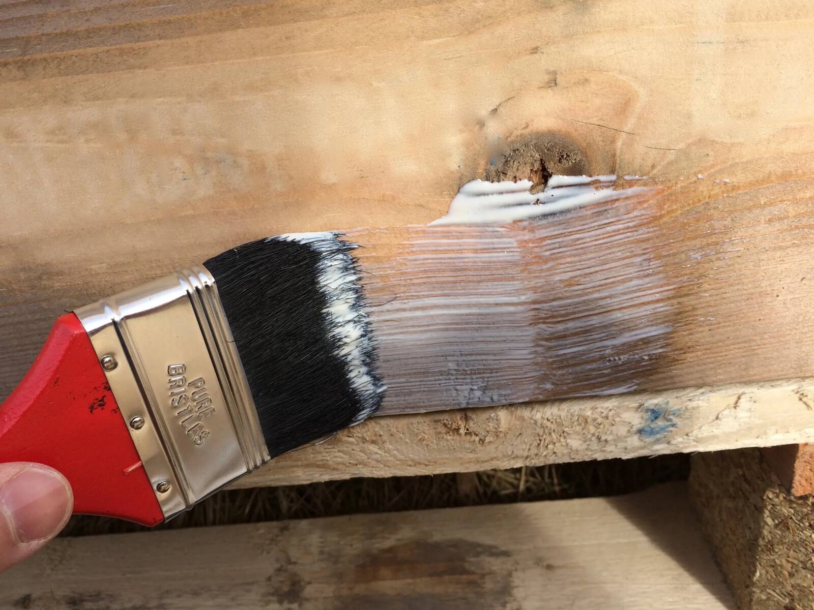 Lugato Schneckenschutz-Anstrich » Schnexagon « 375 ml, transparent