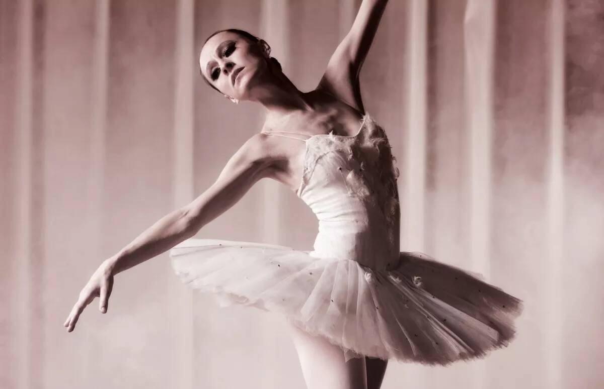 Alpina Feine Farben » Melodie der Anmut « 2,5 l, Roséviolett, No. 19