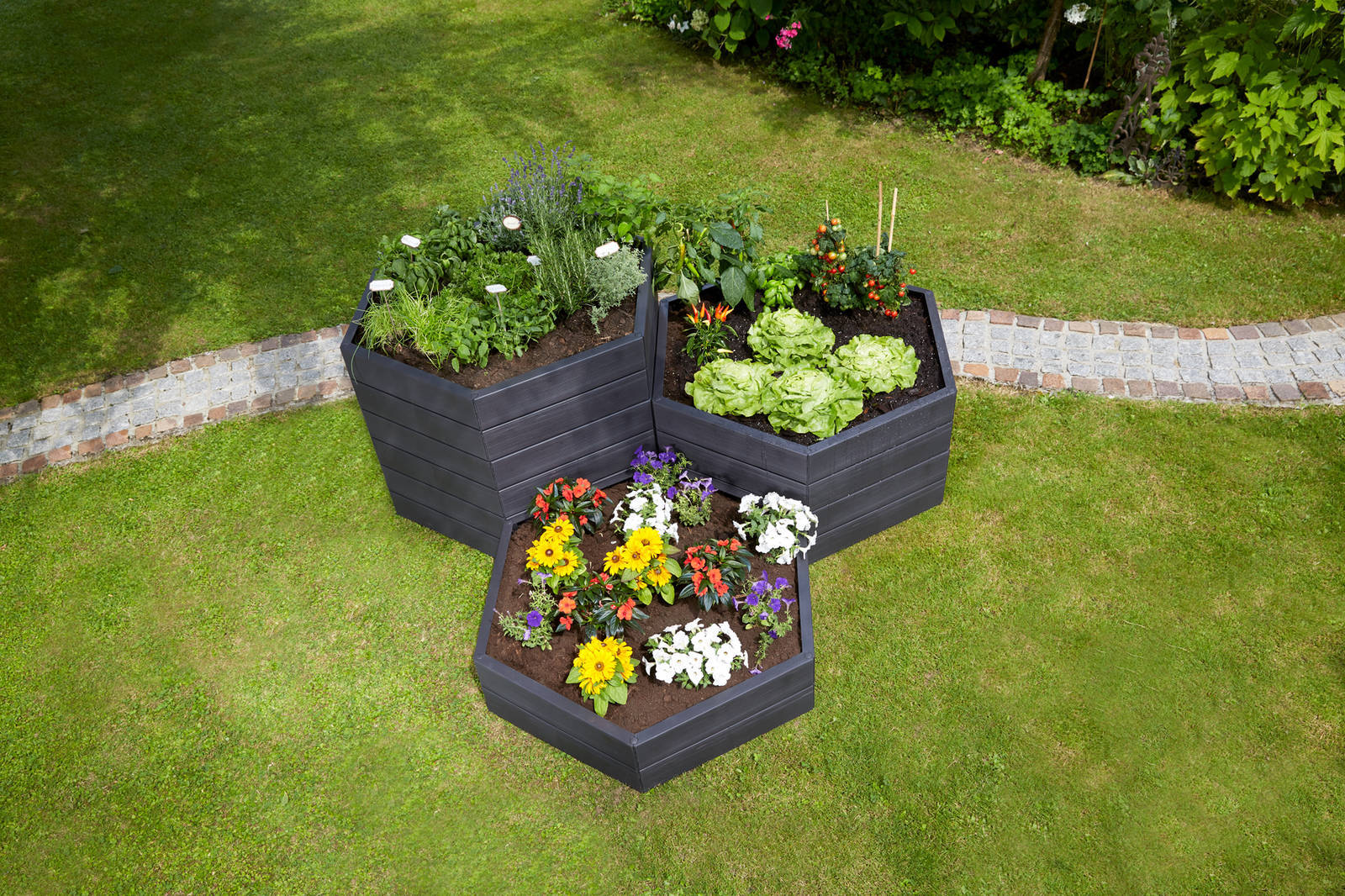Garantia » Ergo Hochbeet « 6-eckig mit Klick-System - erweiterbar