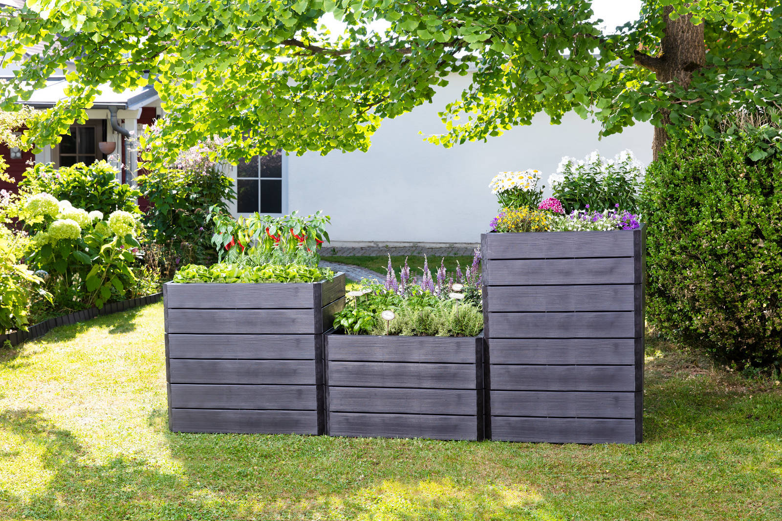 Garantia Hochbeet » Ergo Quadro L « flexibel erweiterbar Garantia Hochbeet Ergo Quadro L