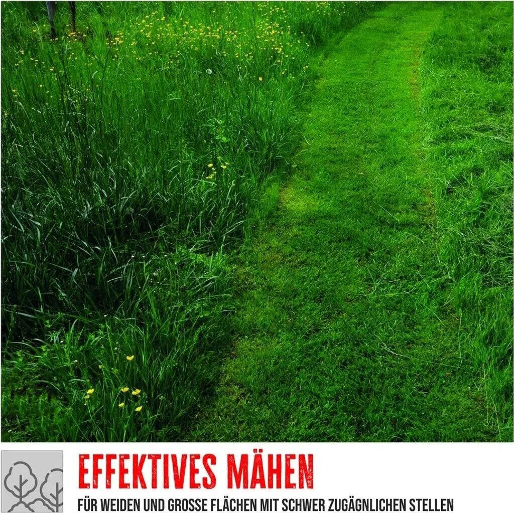 Güde Wiesenmäher » WM 562 TRI « 4-Takt Power-Engine, 4,0 PS