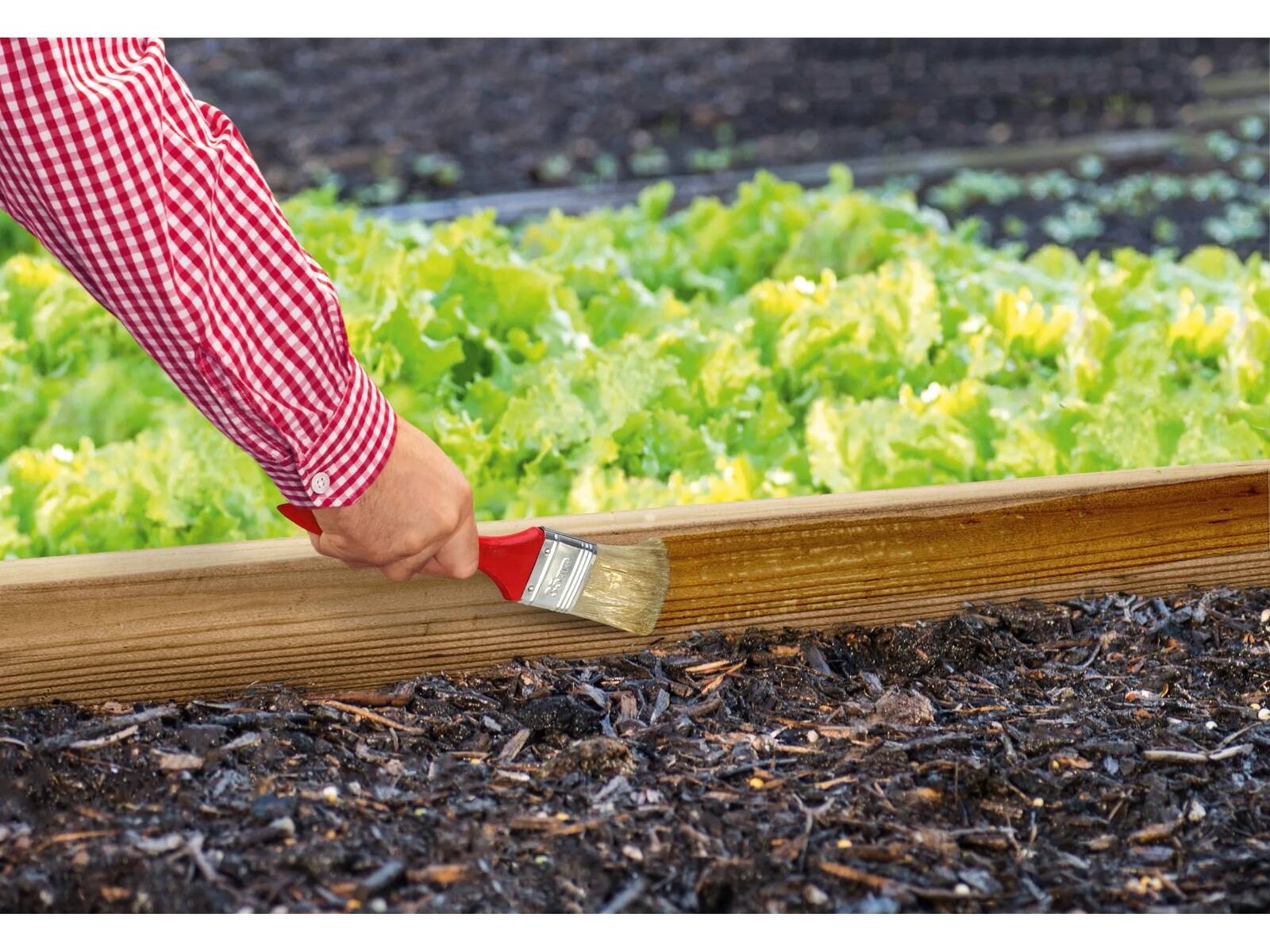 Lugato Schneckenschutz-Anstrich » Schnexagon « 375 ml, transparent