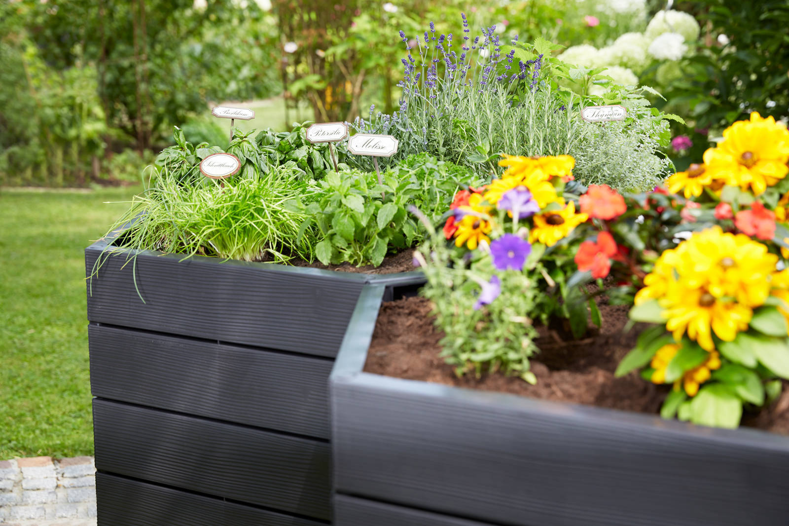 Garantia » Ergo Hochbeet « 6-eckig mit Klick-System - erweiterbar