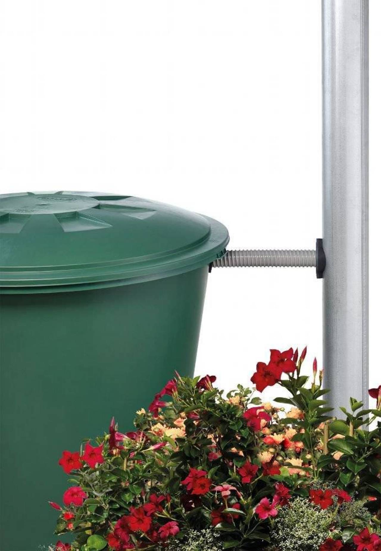 Graf Regensammler » Avanti « Komplett-Set Art. 503075