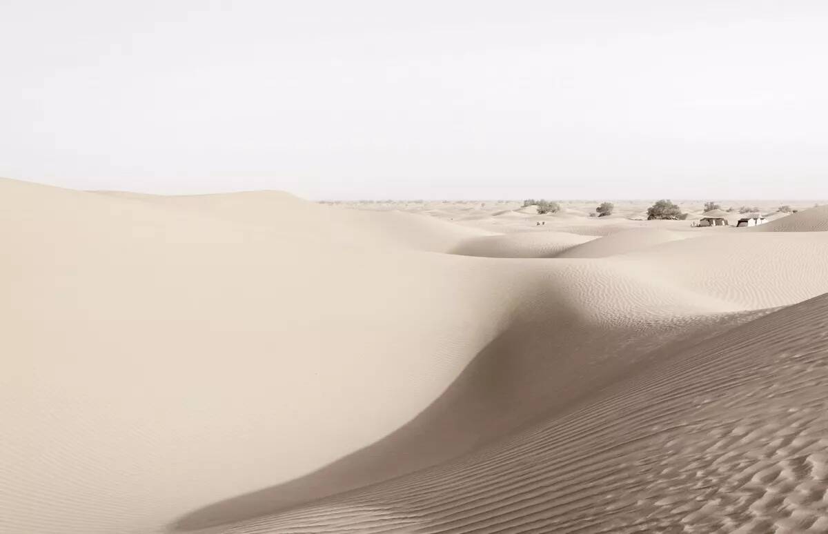 Alpina Feine Farben » Zauber der Wüste « 2,5 l, Beige, No. 07