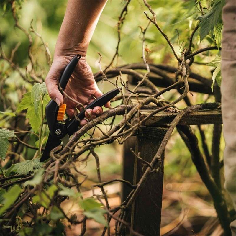 Fiskars SingleStep Bypass Gartenschere » P26 « 100567