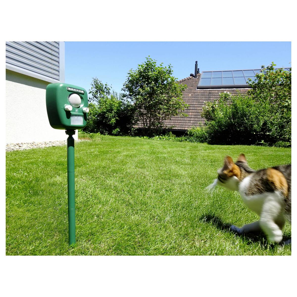 Swissinno Ultraschall » Tiervertreiber PRO « bis zu 96 dB